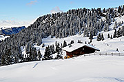 Our alpine dairy in the winter